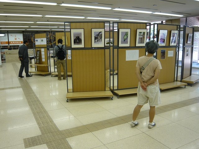 作品と人とのコラボ(展示会場)