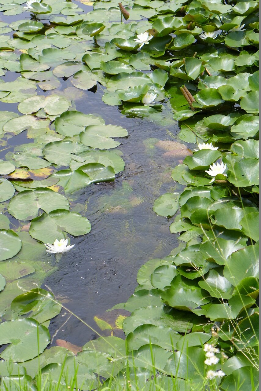 s-P1300502