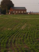 6a2b3355.jpg