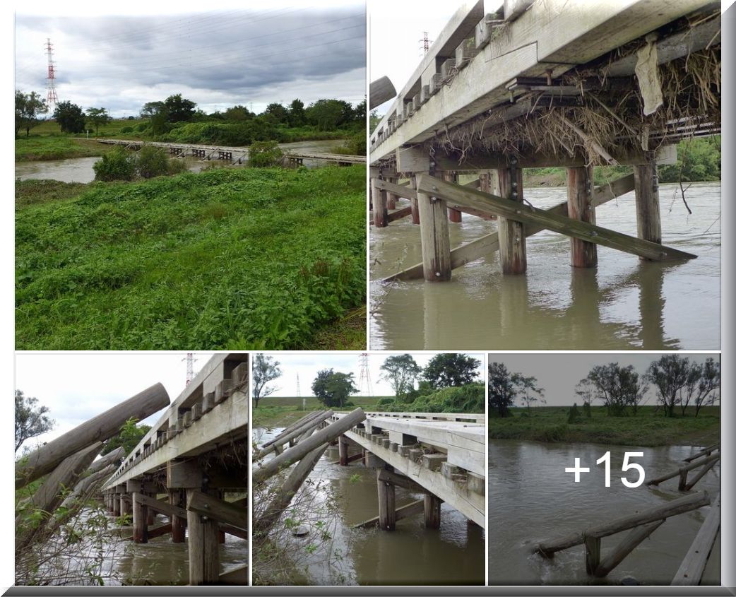 水かさを増す島田橋 10 11 温泉人 おふろうど ライフ