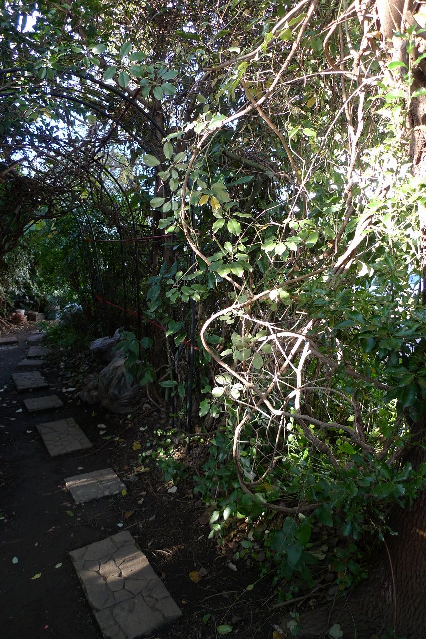 s-P1270385