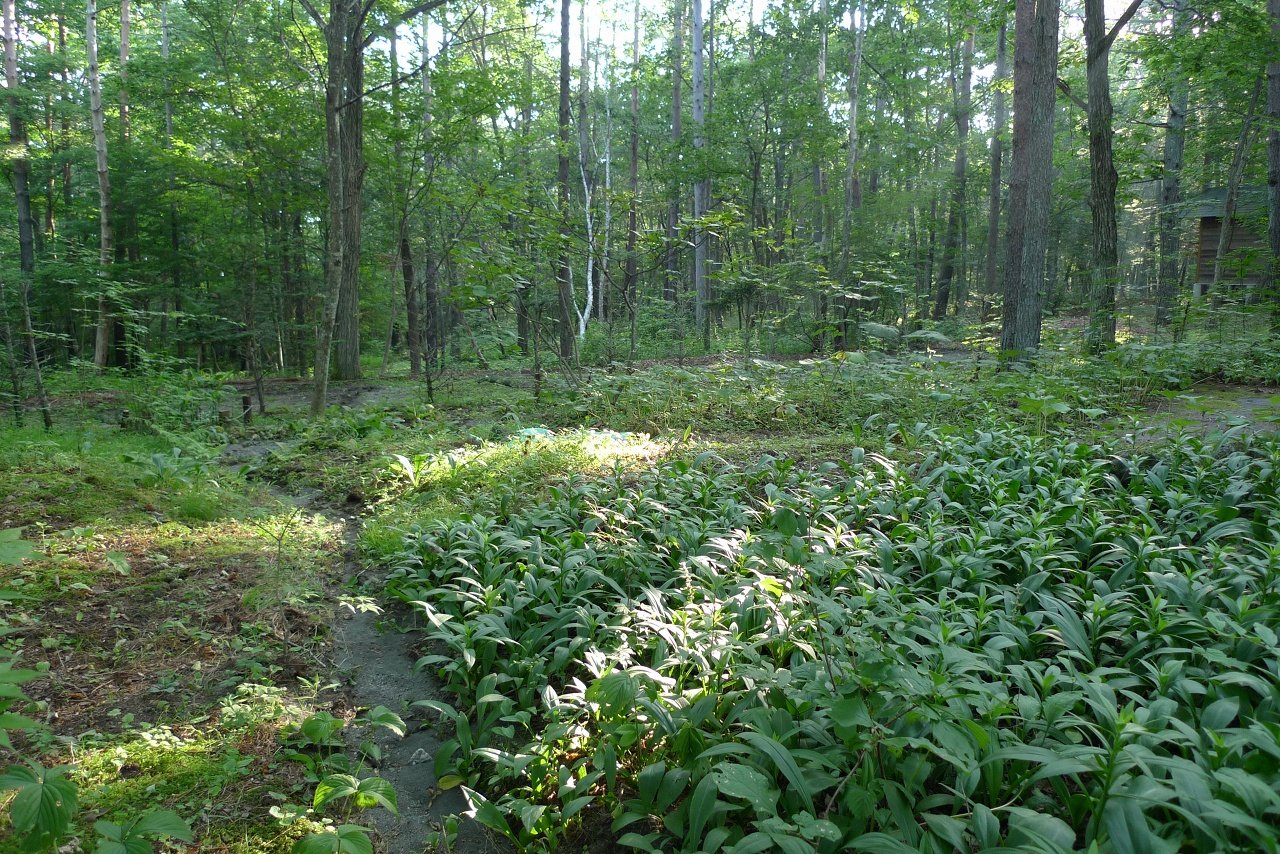 s-P1530634
