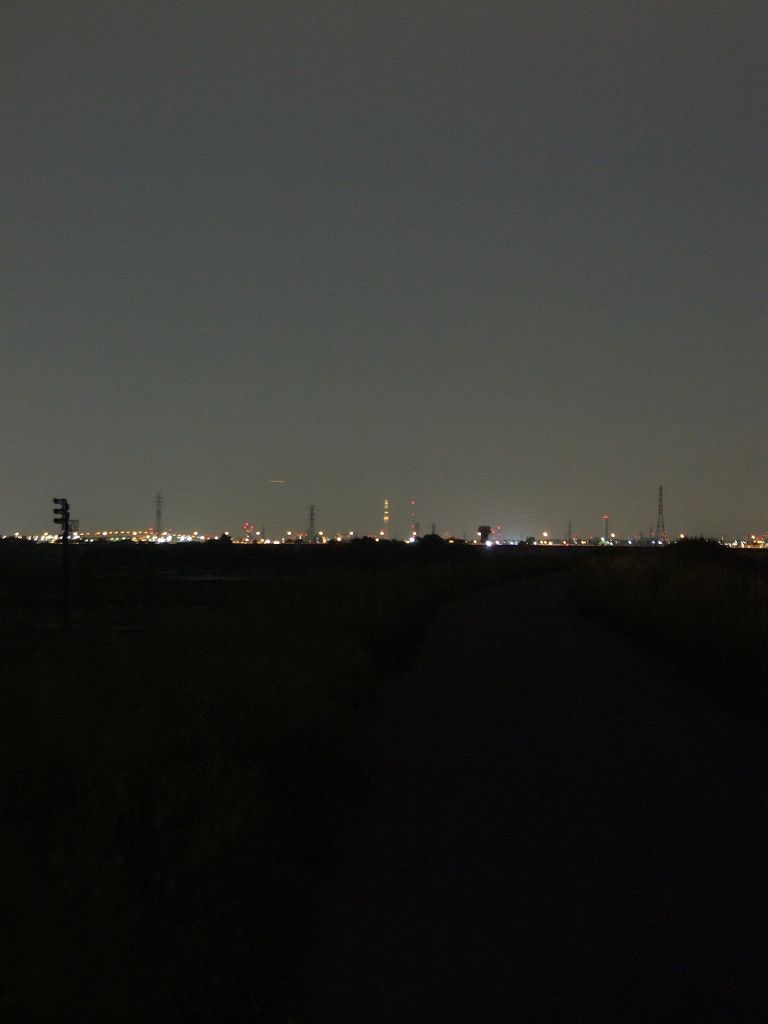 荒川土手・埼玉志木市から臨む東京スカイツリー