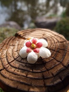 もみじ公園にて