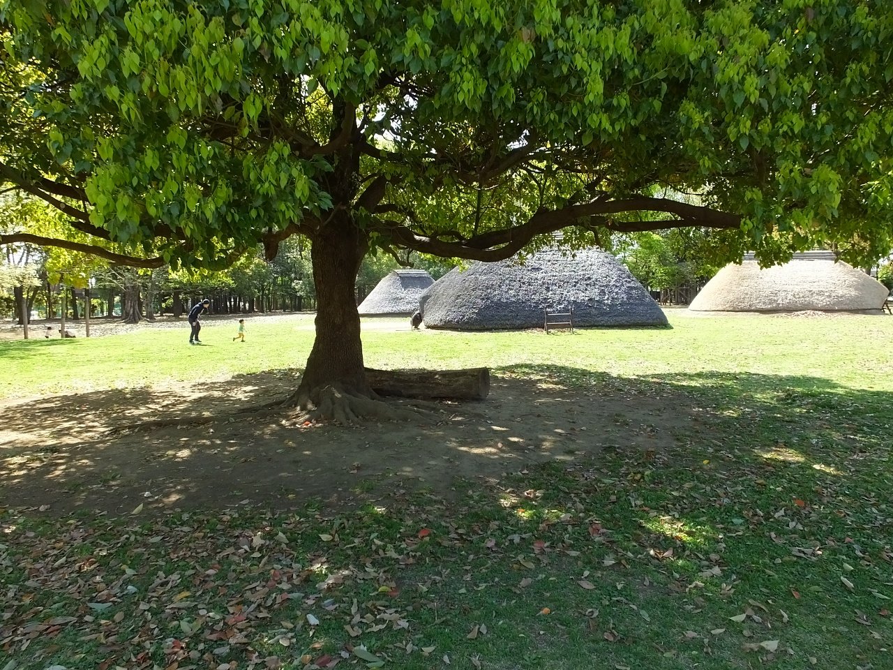 s-DSCF6158