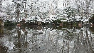 新雪(山形・もみじ公園)