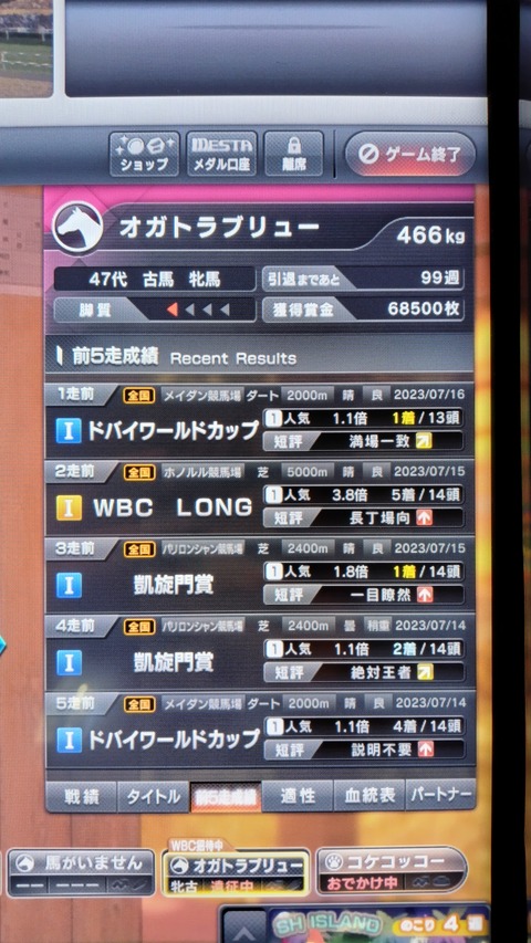 230716163119748