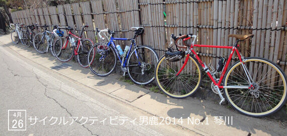 CAO2014_01