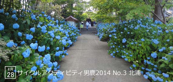 CAO2014_03