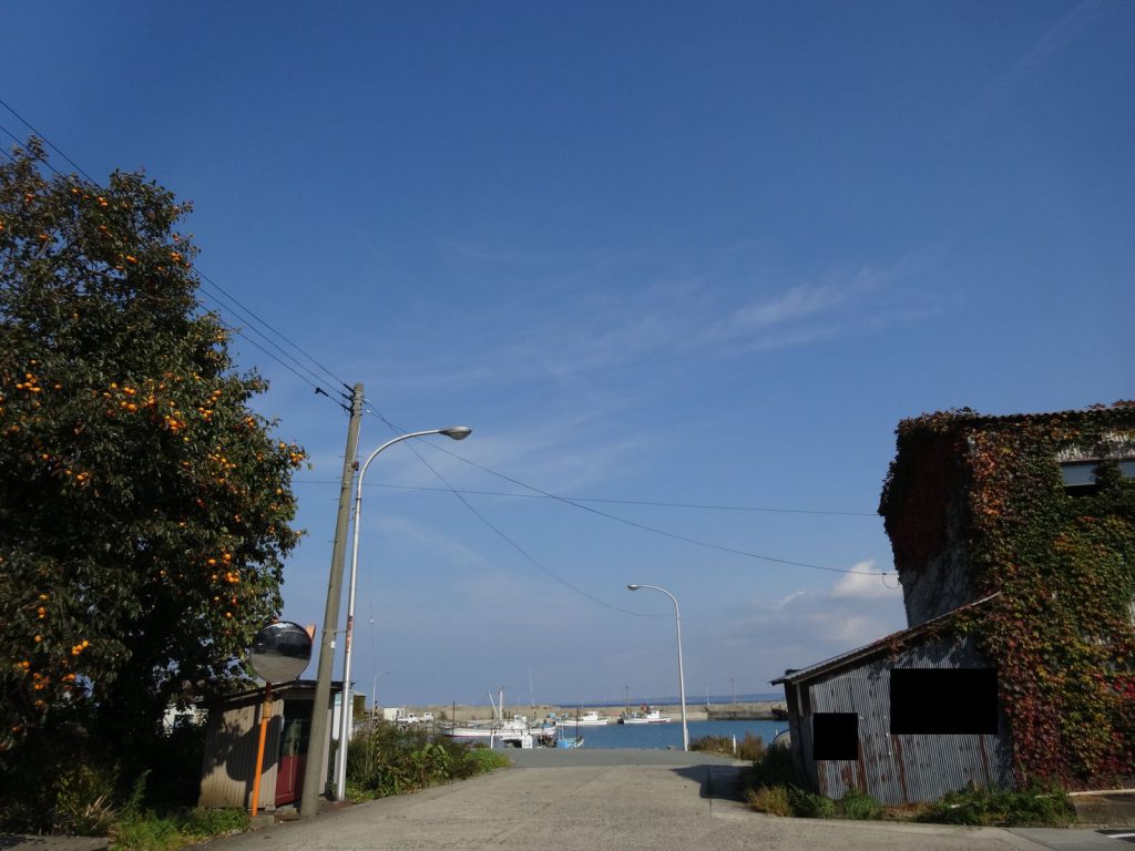 DSC01290