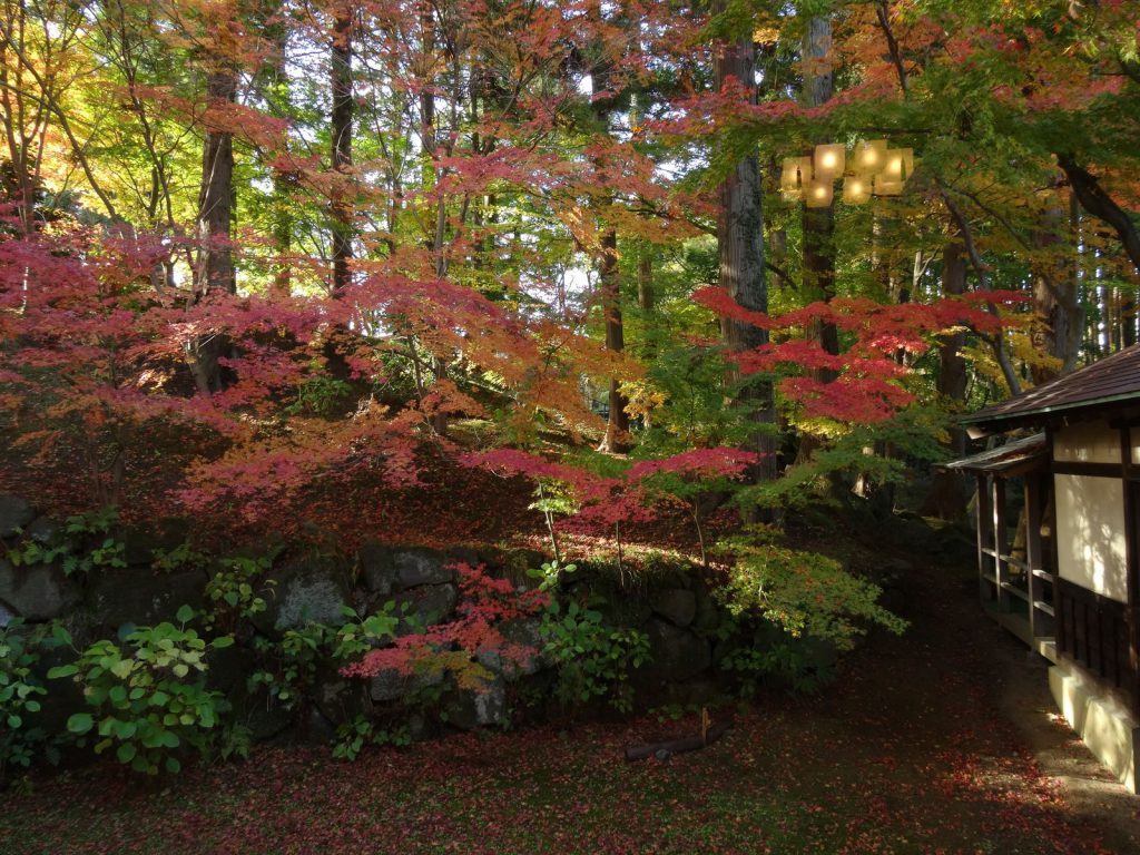 DSC00330