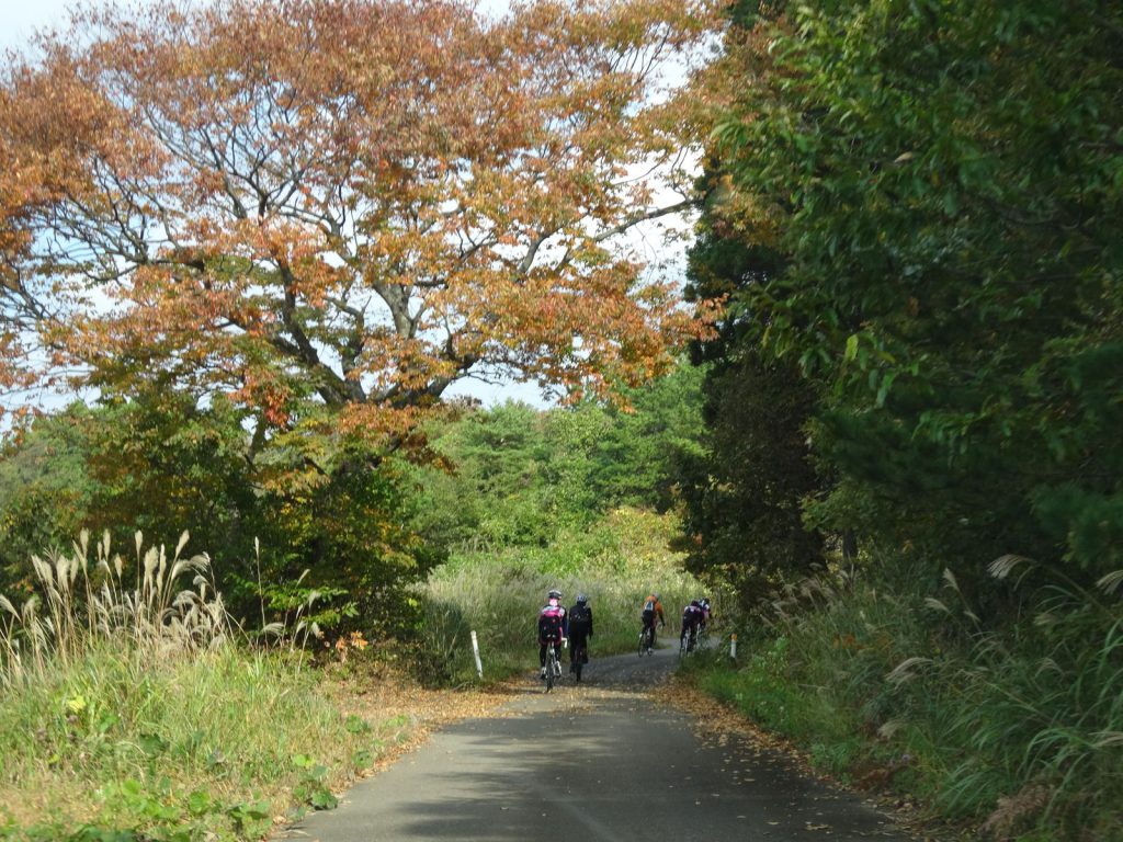 DSC01266