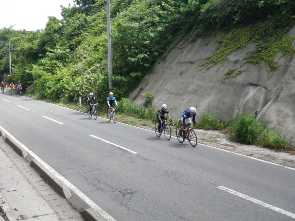 RIMG2019