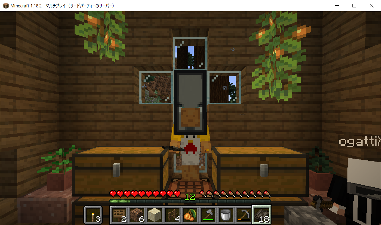 Foyのマイクラ初心者日記 Team Nolfの活動日記