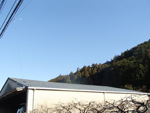 P1270058