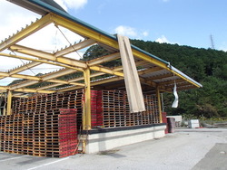 PA230767