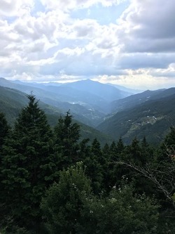 IMG_1813