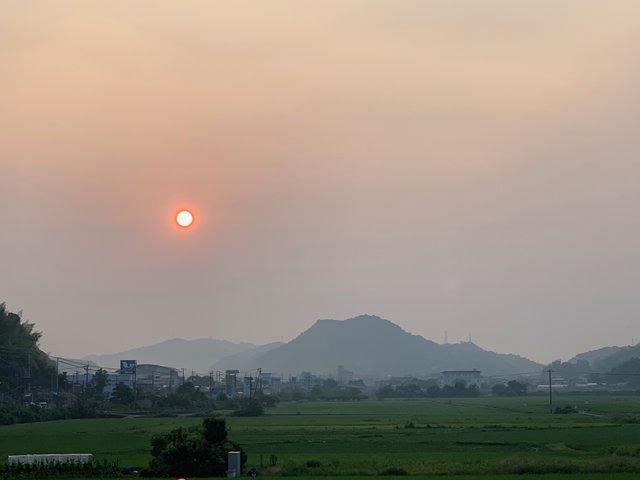 日の出日の入り独演会 オガサ製工のポジ ブロ高知