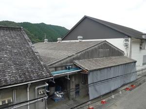 DSC04916