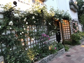 20190509_093150985_iOS