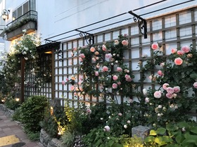 20190509_093246687_iOS