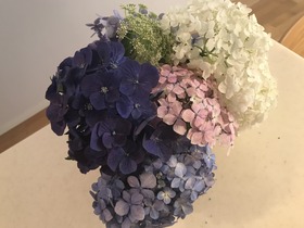 20190620_215111337_iOS