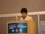 COP11-2