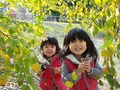 孫も3歳に