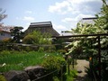 金剛寺の庭