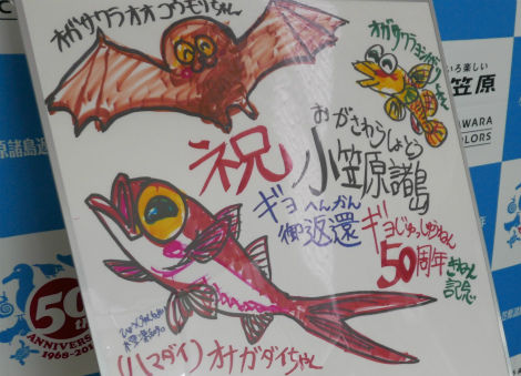 さかなクンによる小笠原村への絵が展示されています 小笠原父島 オガツアーのブログ3 さかなクンによる小笠原村への絵が展示されています 小笠原父島 オガツアーのブログ3