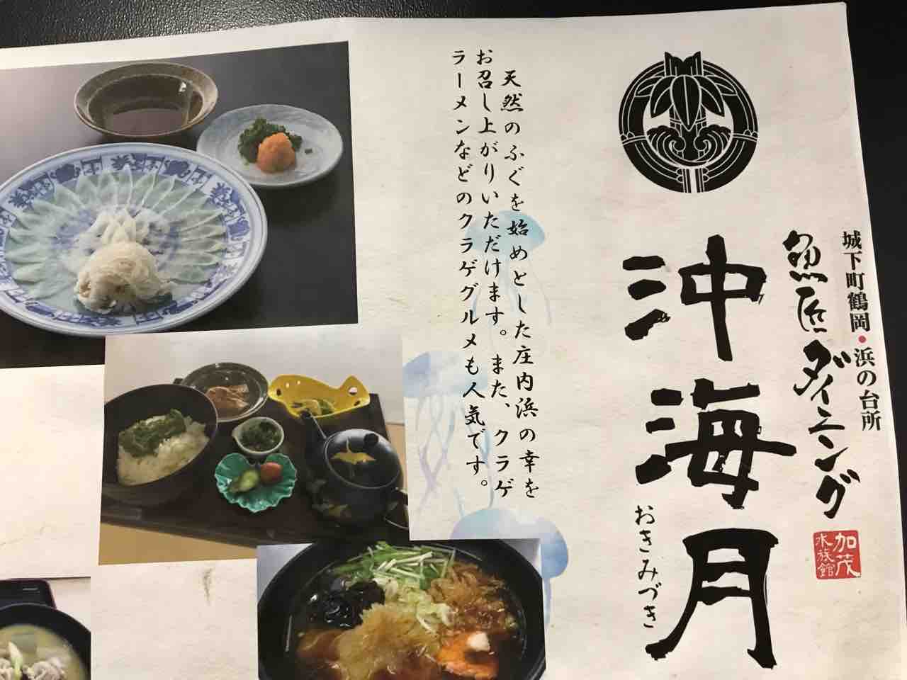 旅行中にクラゲを喰らう クラゲツーリズム 小笠原父島 オガツアーのブログ3 旅行中にクラゲを喰らう クラゲツーリズム 小笠原父島 オガツアーのブログ3