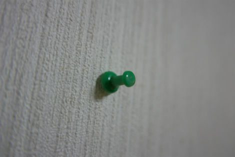 画鋲を踏んだ 小笠原父島 オガツアーのブログ3 画鋲を踏んだ 小笠原父島 オガツアーのブログ3