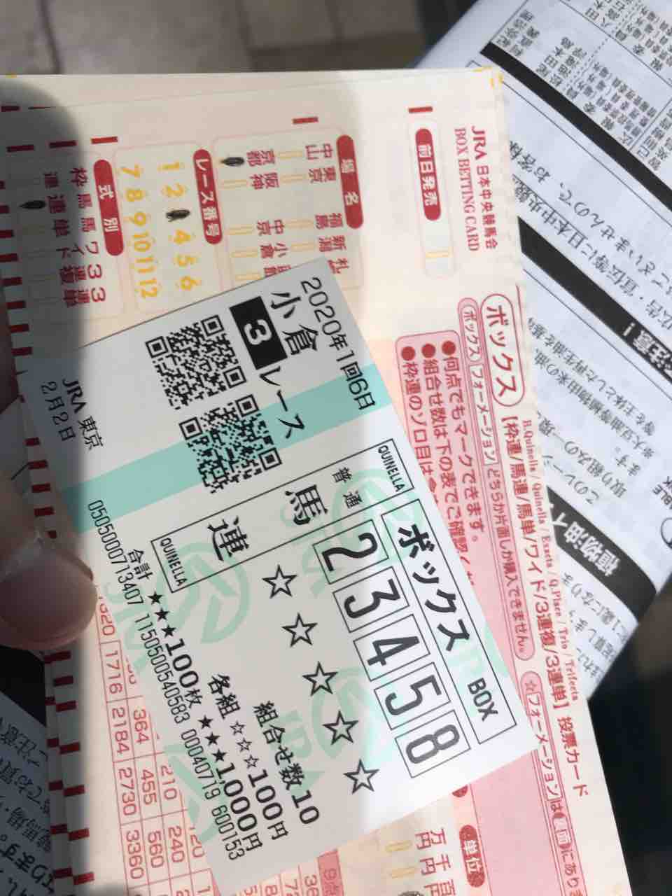 東京競馬場 小笠原父島 オガツアーのブログ３