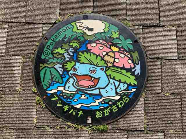 小笠原村の観光協会に行ってポケモングッズを買って来た