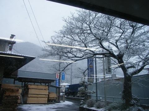DSCF2169