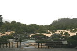 sakura_tour_4b