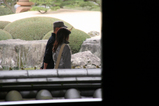 sakura_tour_4d