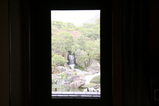 sakura_tour_4c