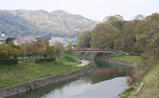 sakura_tour_nara