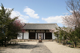 sakura_tour_7e