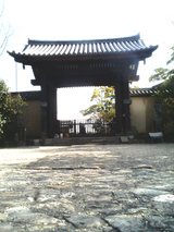 sakura_tour_7f