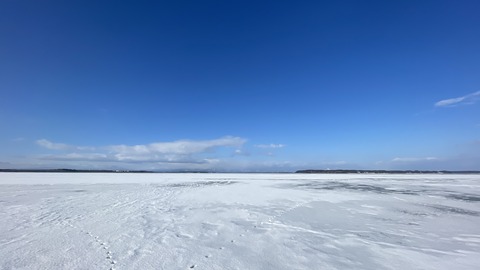 IMG_9245