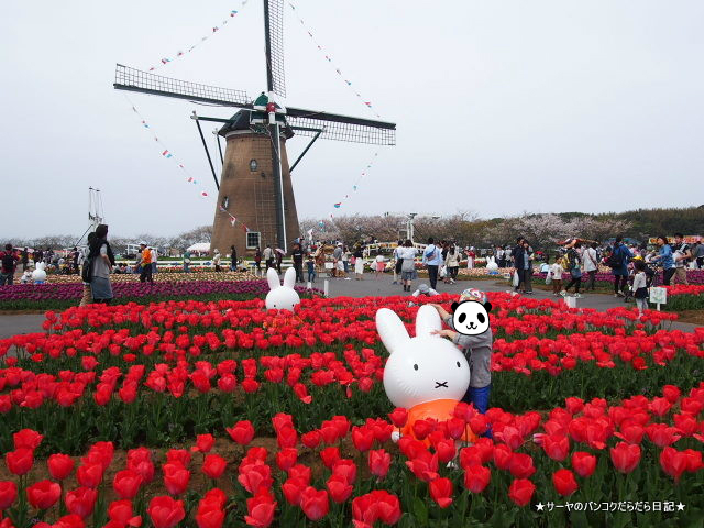 佐倉 チューリップ Sakura Tulip Festa