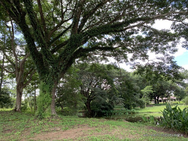 サンティブリー Santiburi Country Club Chiangrai (19)