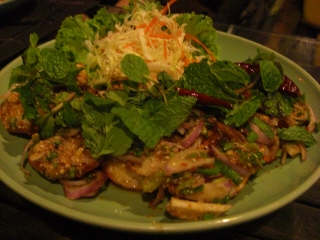 20090323 balee laos 4