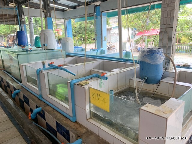 Shell Tangkay シェルタンゲー パタヤ レストラン (5)