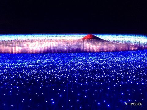 なばなの里 5