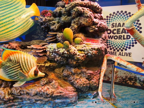 サイアムオーシャンワールド サーヤ Siam Ocean World