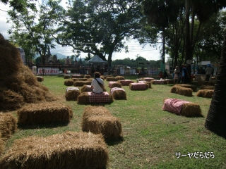 20110508 sukhothai marathon 4