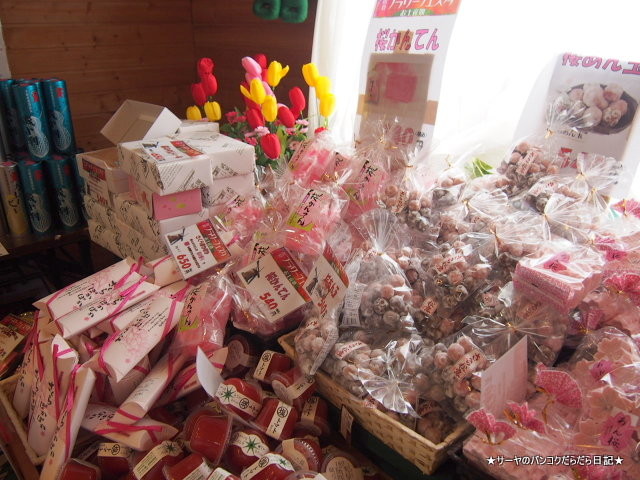 佐倉 チューリップ Sakura Tulip Festa
